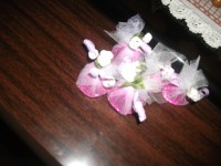 /album/galeria-de-fotos/imagem-170-jpg/